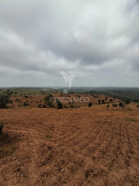 Terreno para Venda em Mertola