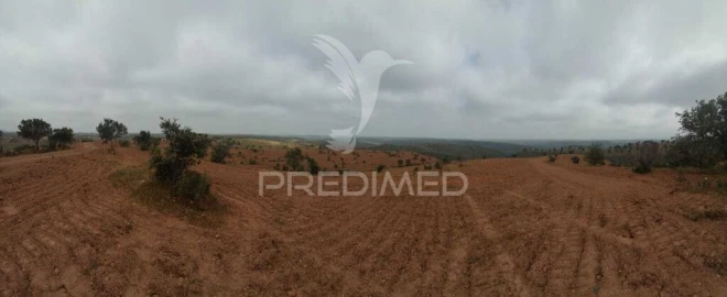 Terreno para Venda em Mertola