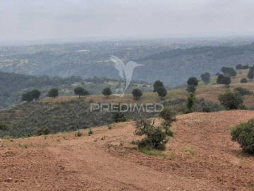 Terreno para Venda em Mertola