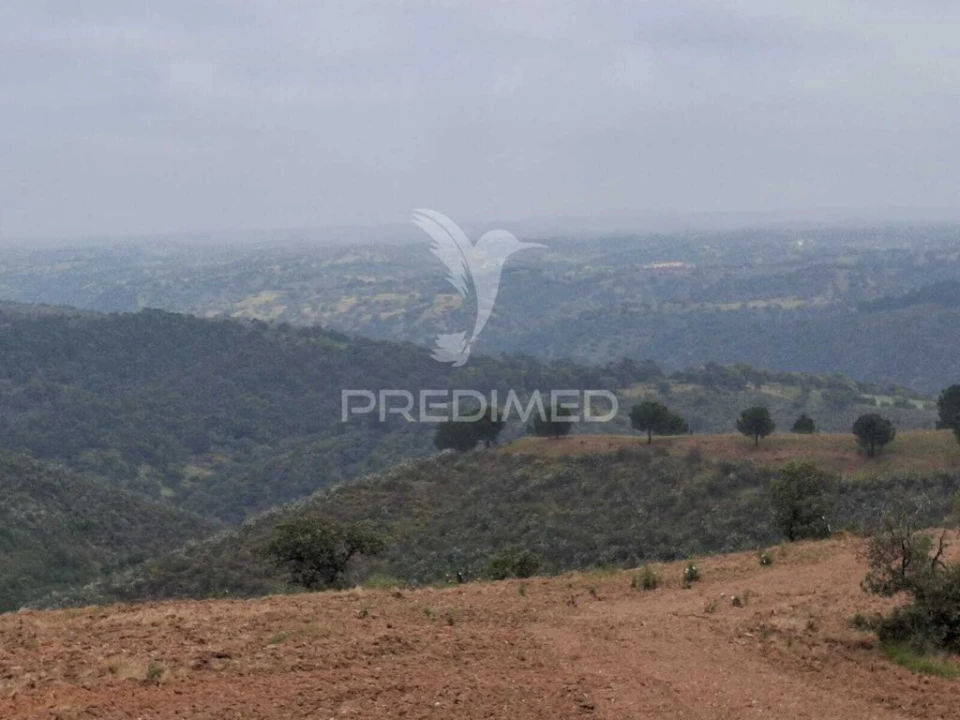 Terreno para Venda em Mertola Foto 13