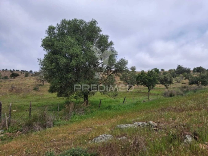 Terreno para Venda em Mertola Foto 16