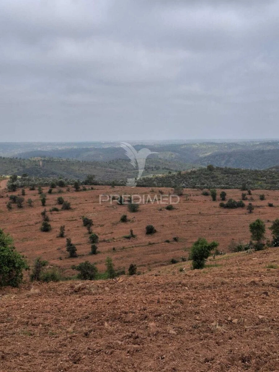 Terreno para Venda em Mertola Foto 14