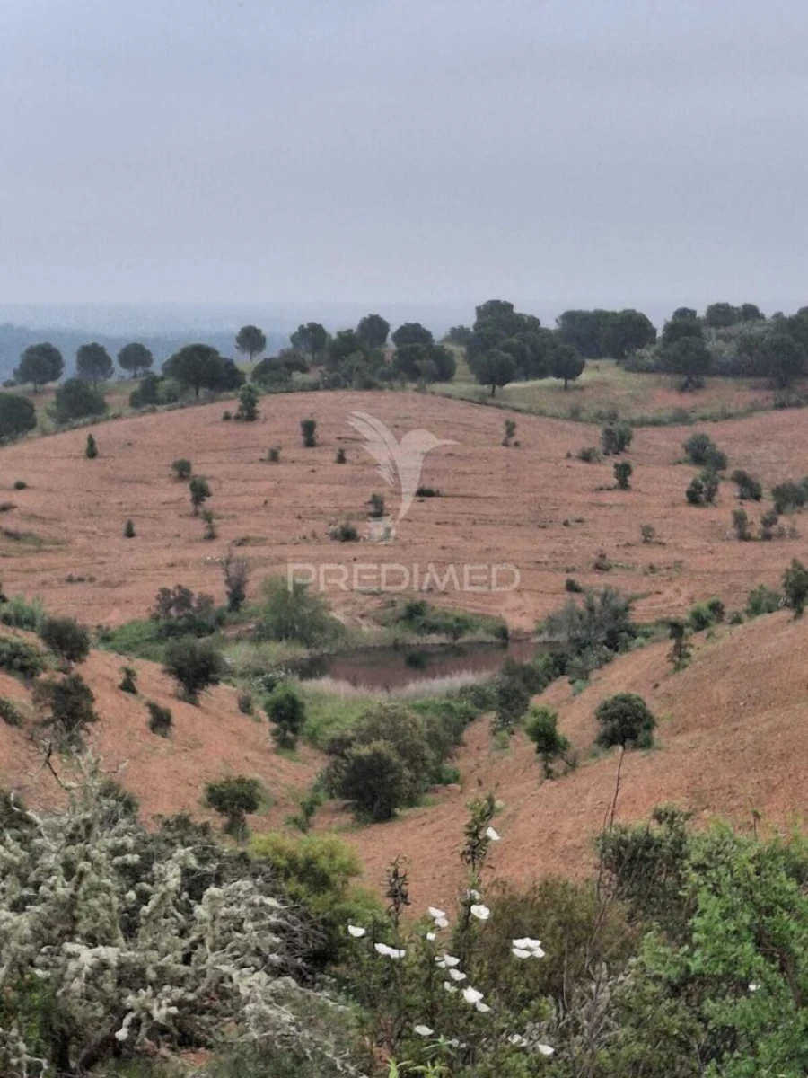 Terreno para Venda em Mertola Foto 19