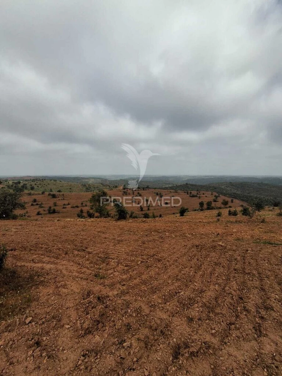 Terreno para Venda em Mertola Foto 15