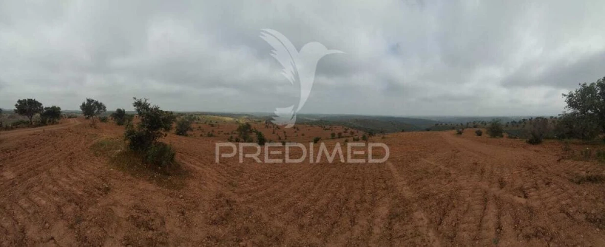 Terreno para Venda em Mertola Foto 12