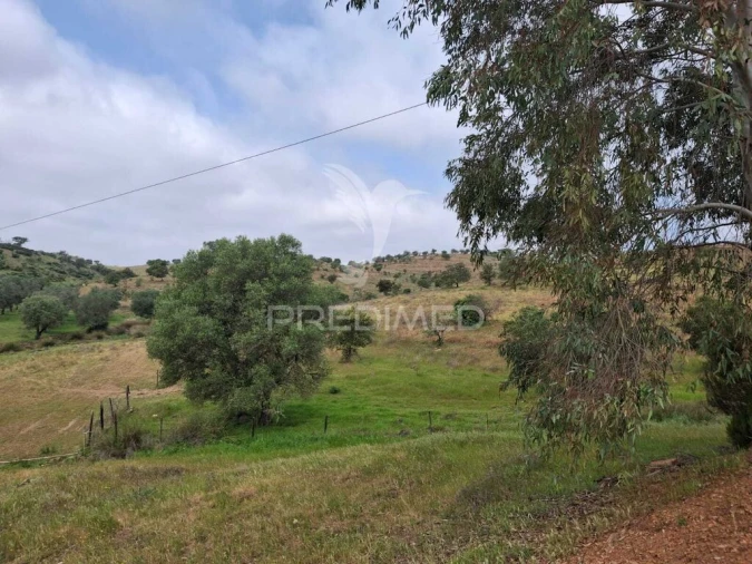 Terreno para Venda em Mertola Foto 3
