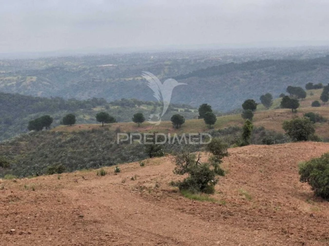 Terreno para Venda em Mertola Foto 10