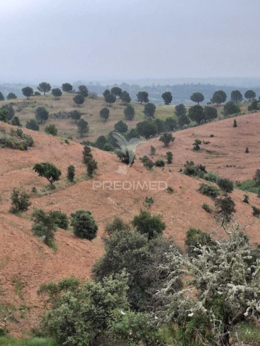 Terreno para Venda em Mertola Foto 18