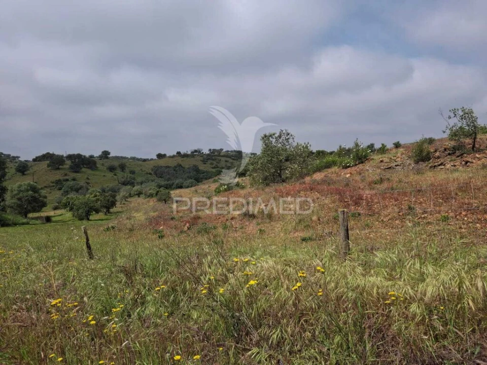 Terreno para Venda em Mertola Foto 5