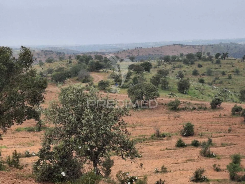 Terreno para Venda em Mertola Foto 9