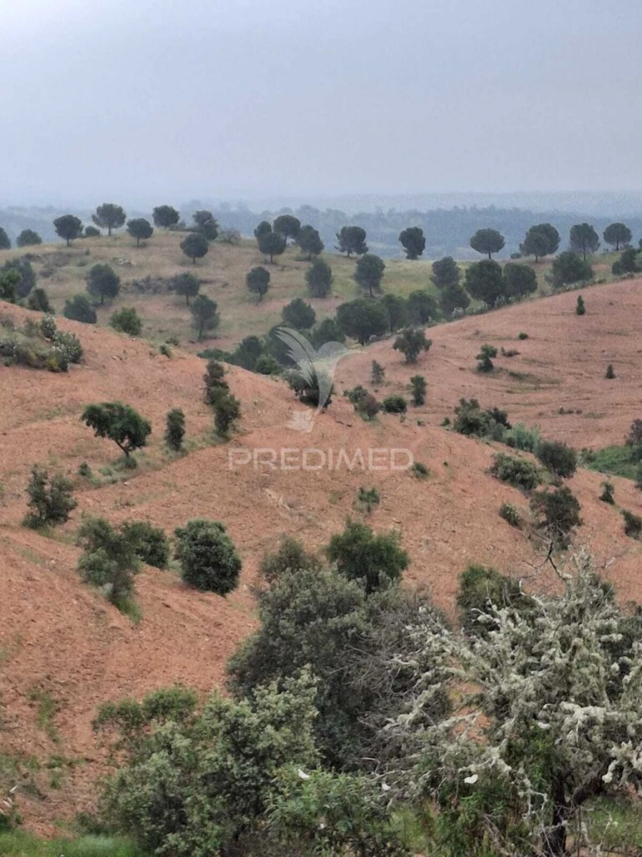 Terreno para Venda em Mertola Foto 18