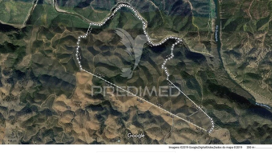 Terreno para Venda em Mertola