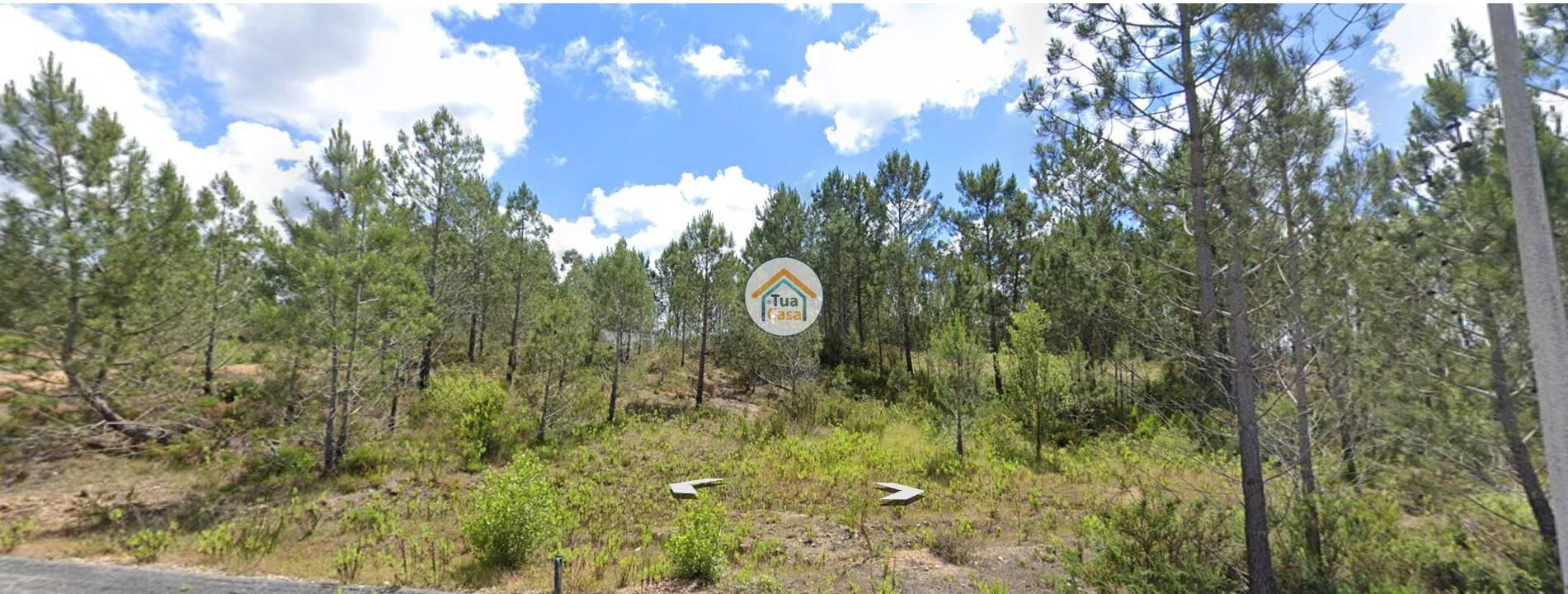 Terreno para Venda em Pelariga Foto 2