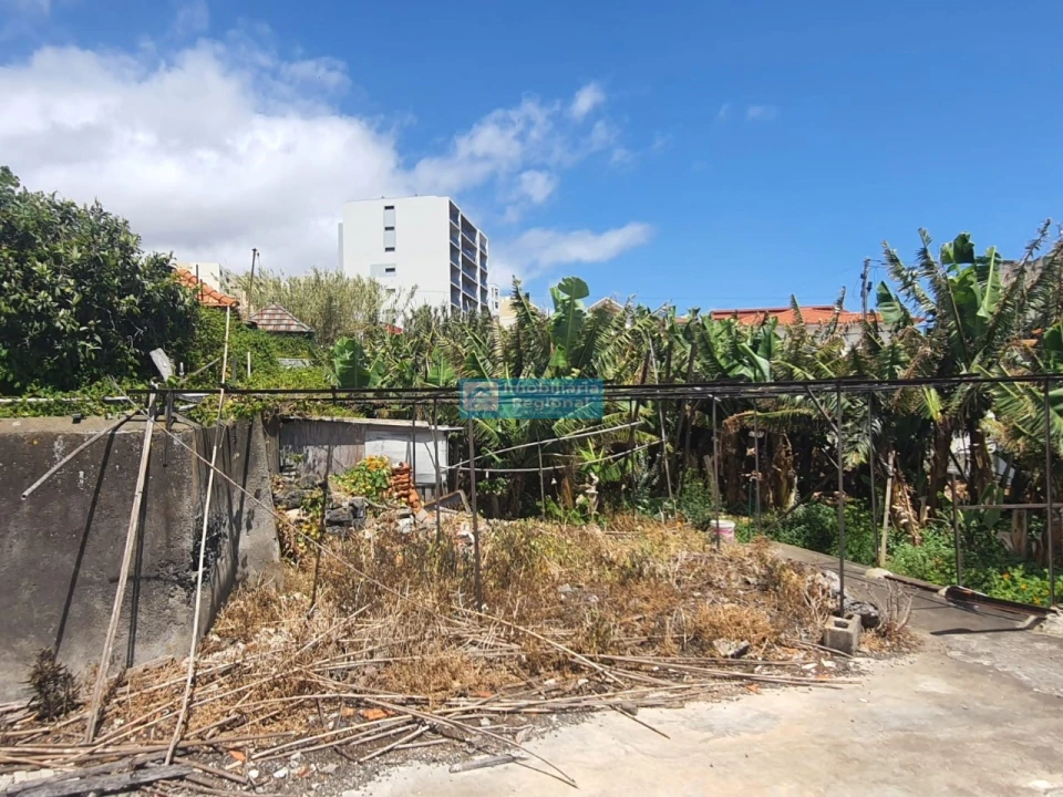 Terreno para Venda em São Martinho Foto 7