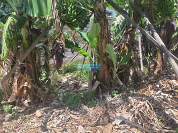 Terreno para Venda em São Martinho