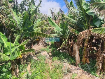 Terreno para Venda em São Martinho