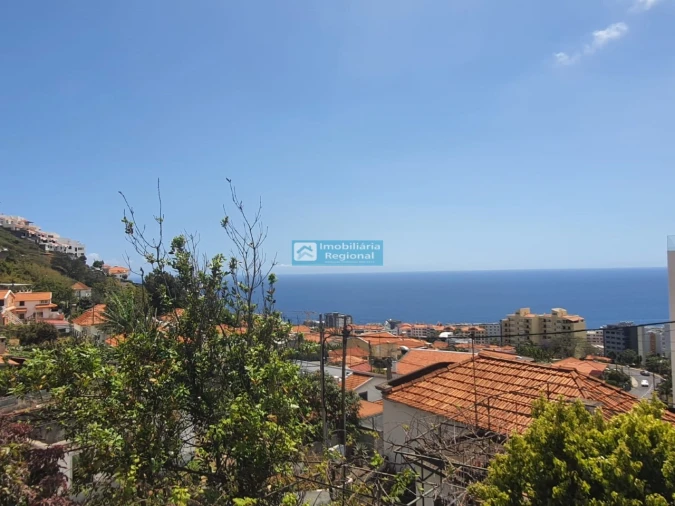 Terreno para Venda em São Martinho Foto 2