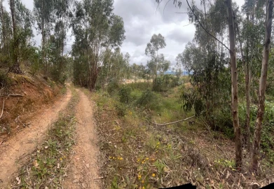 Terreno para Venda em Mexilhoeira Grande