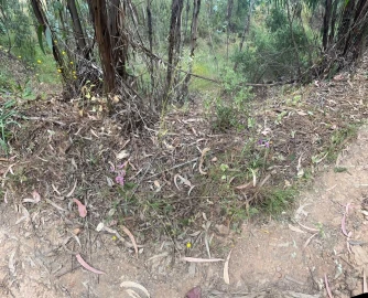 Terreno para Venda em Mexilhoeira Grande