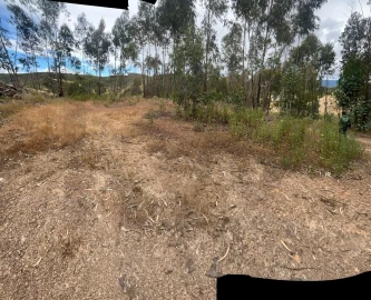 Terreno para Venda em Mexilhoeira Grande