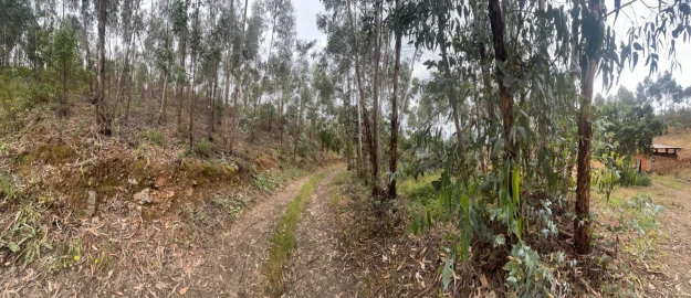 Terreno para Venda em Mexilhoeira Grande