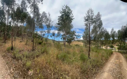 Terreno para Venda em Mexilhoeira Grande