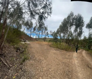 Terreno para Venda em Mexilhoeira Grande