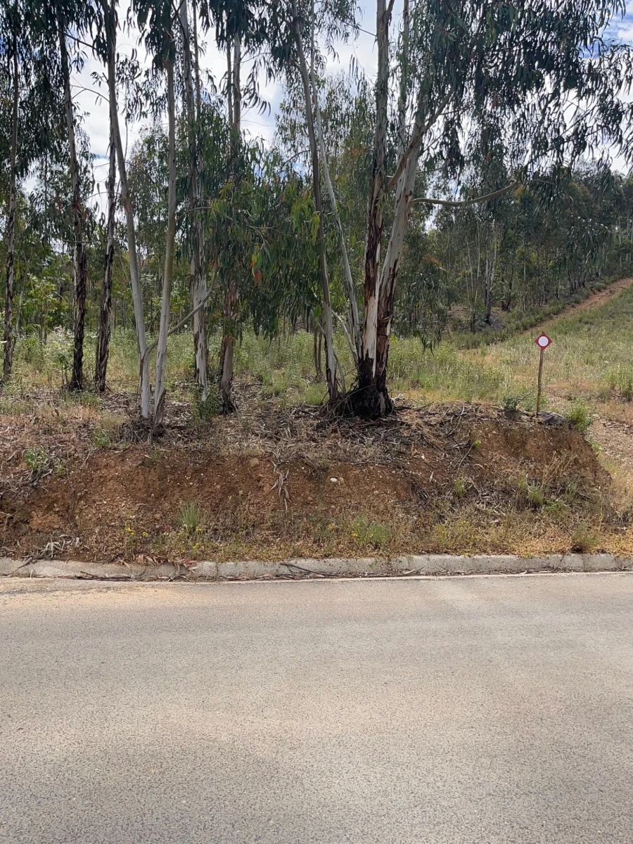 Terreno para Venda em Mexilhoeira Grande Foto 37