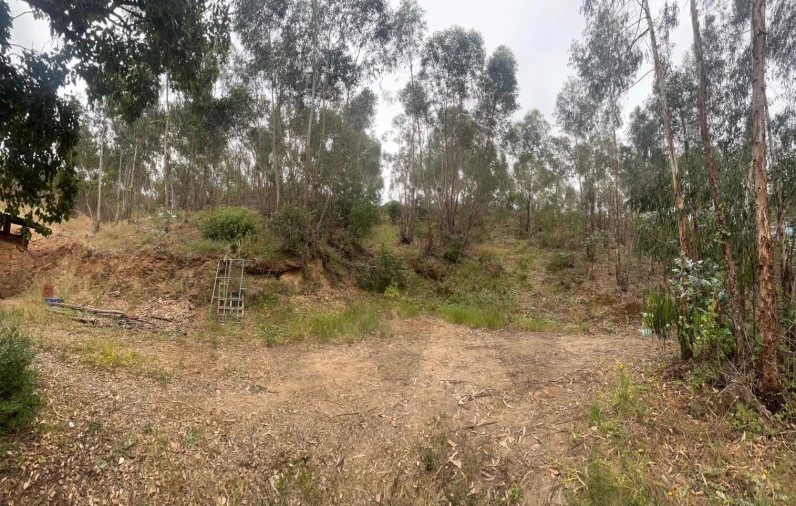 Terreno para Venda em Mexilhoeira Grande Foto 3