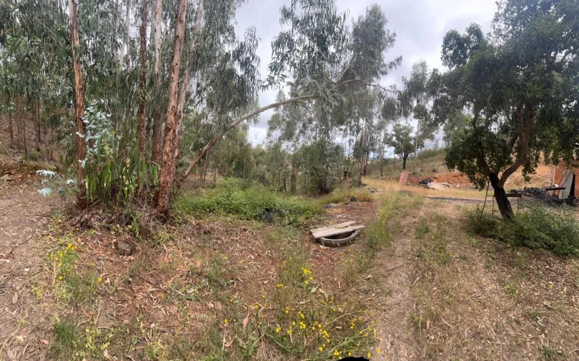 Terreno para Venda em Mexilhoeira Grande Foto 13