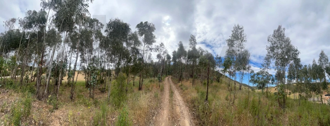 Terreno para Venda em Mexilhoeira Grande Foto 20