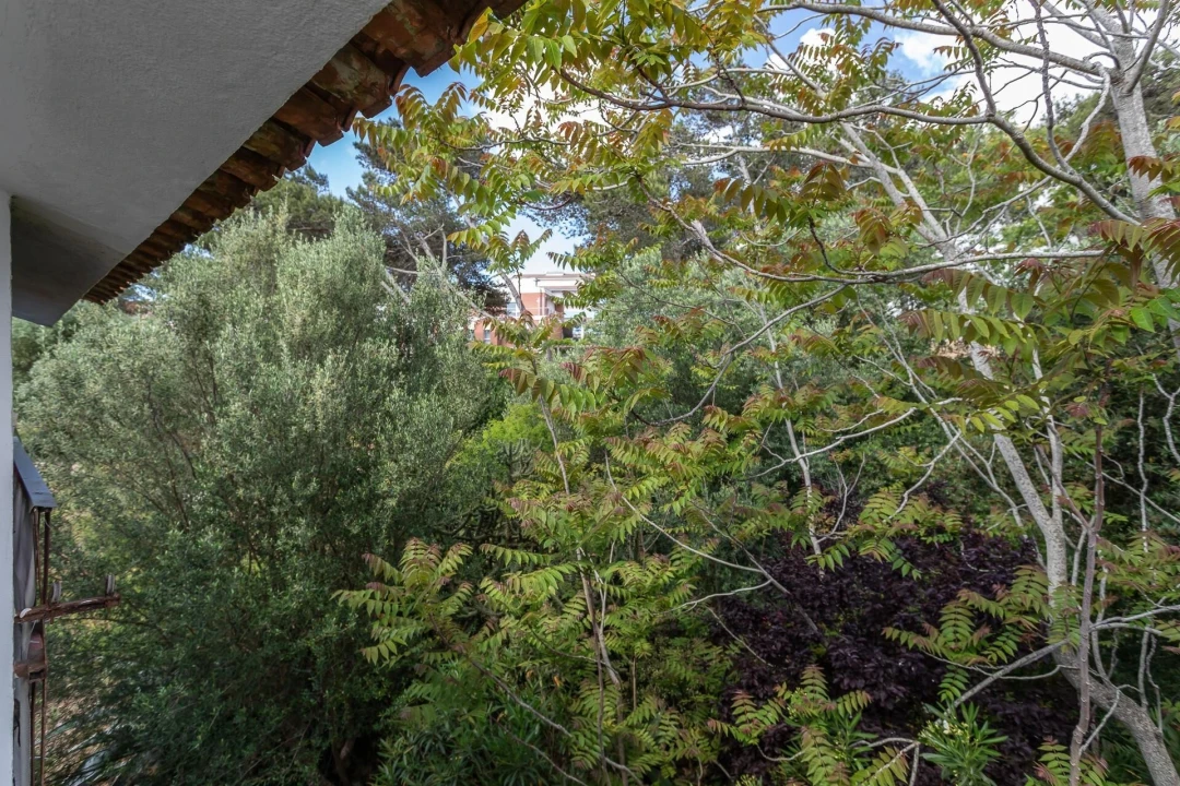 Apartamento T2 para Venda em Cascais e Estoril Foto 16