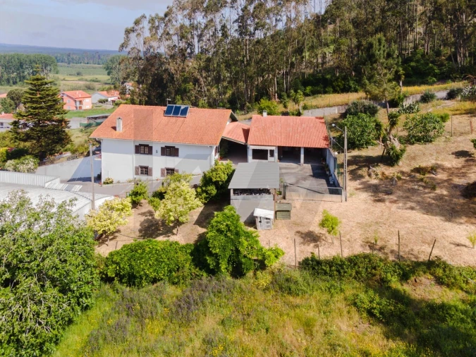 Armazém para Venda em Coz, Alpedriz e Montes Foto 5