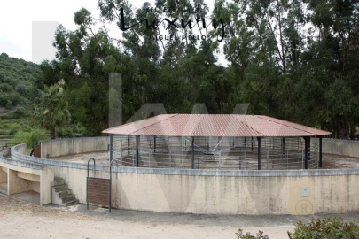 Quinta T15 para Venda em Rio de Mouro