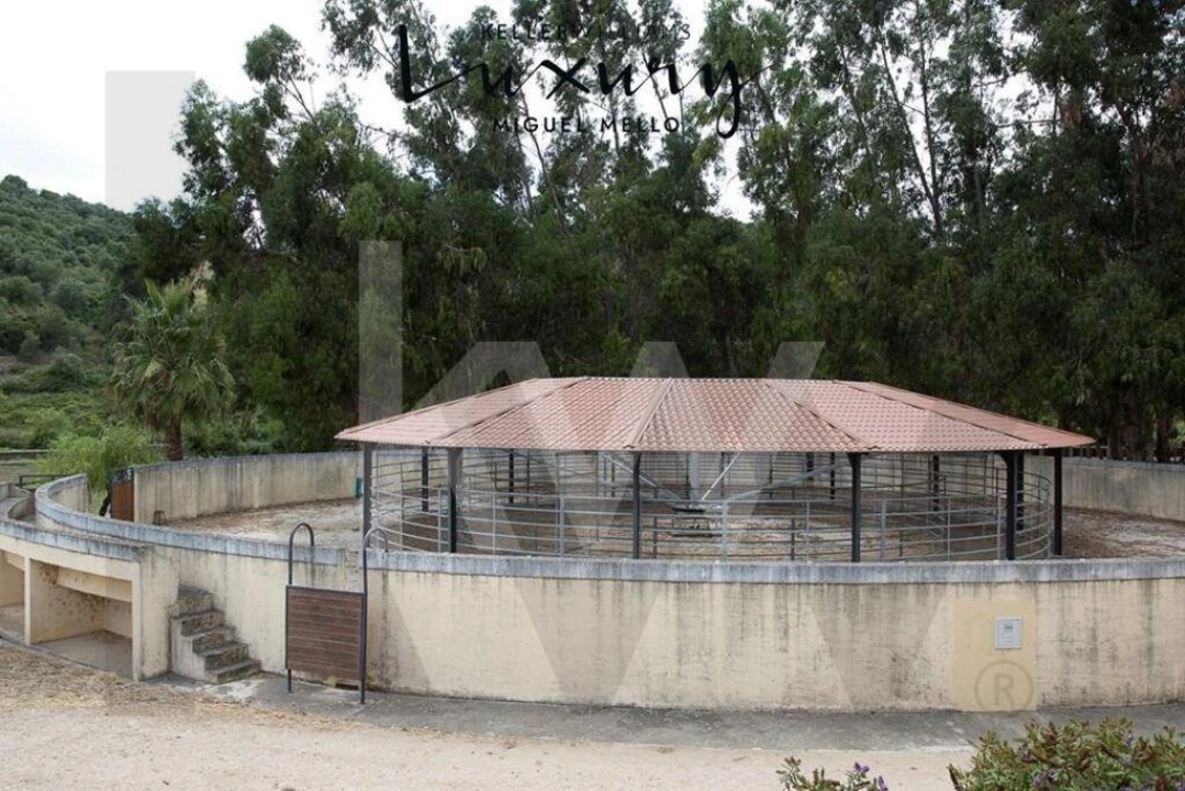 Quinta T15 para Venda em Rio de Mouro Foto 41