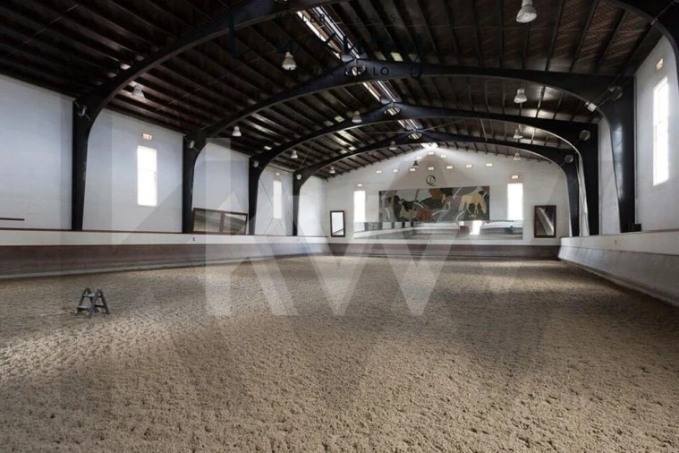 Quinta T15 para Venda em Rio de Mouro Foto 38