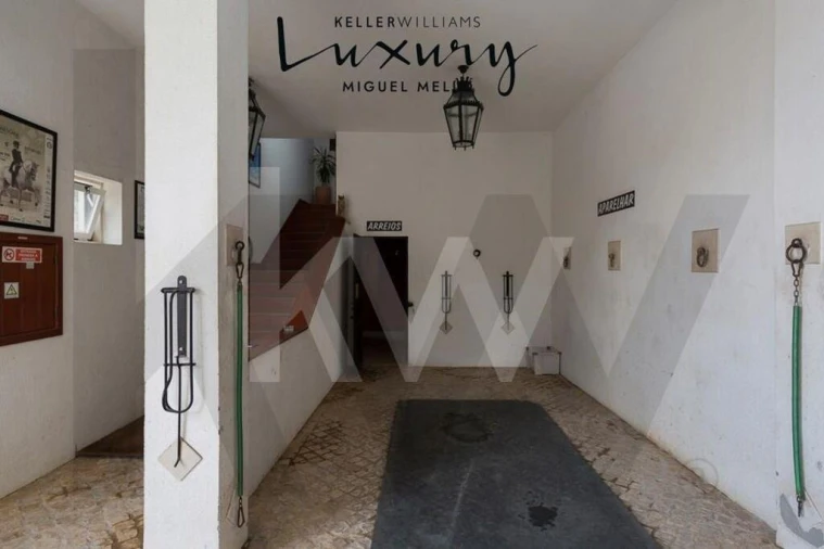 Quinta T15 para Venda em Rio de Mouro Foto 51