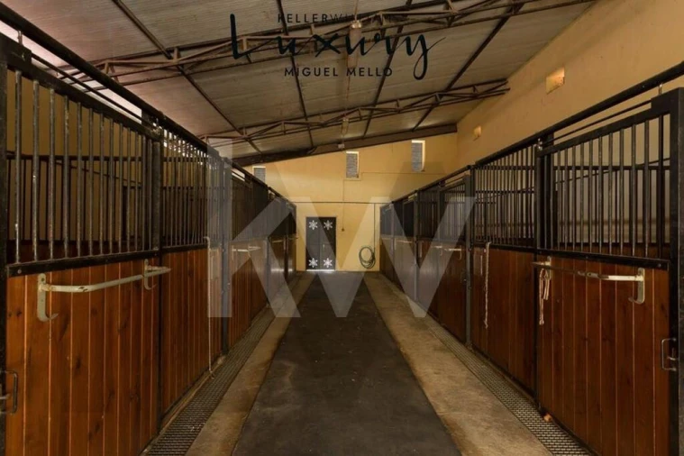 Quinta T15 para Venda em Rio de Mouro Foto 26