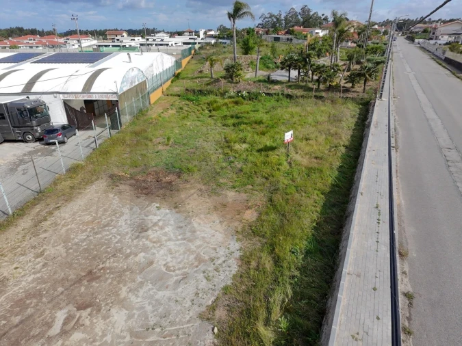 Terreno para Venda em Santa Maria da Feira, Travanca, Sanfins e Espargo Foto 4