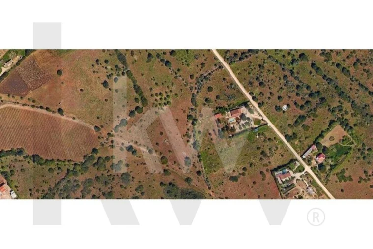 Terreno para Venda em Luz Foto 4