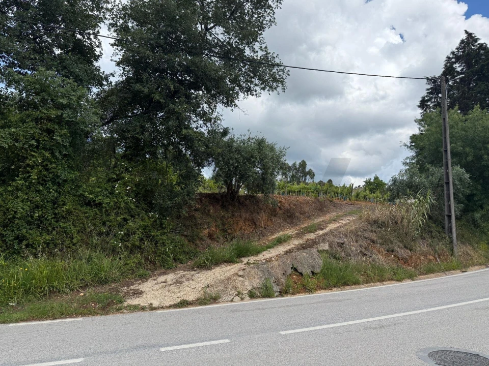 Terreno para Venda em Antuzede e Vil de Matos Foto 8