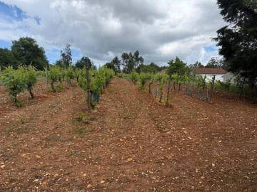 Terreno para Venda em Antuzede e Vil de Matos