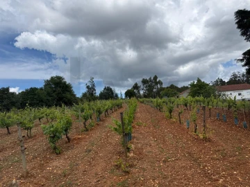 Terreno para Venda em Antuzede e Vil de Matos