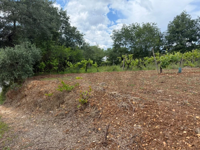 Terreno para Venda em Antuzede e Vil de Matos Foto 5