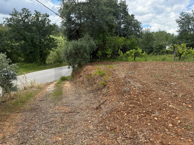Terreno para Venda em Antuzede e Vil de Matos Foto 2