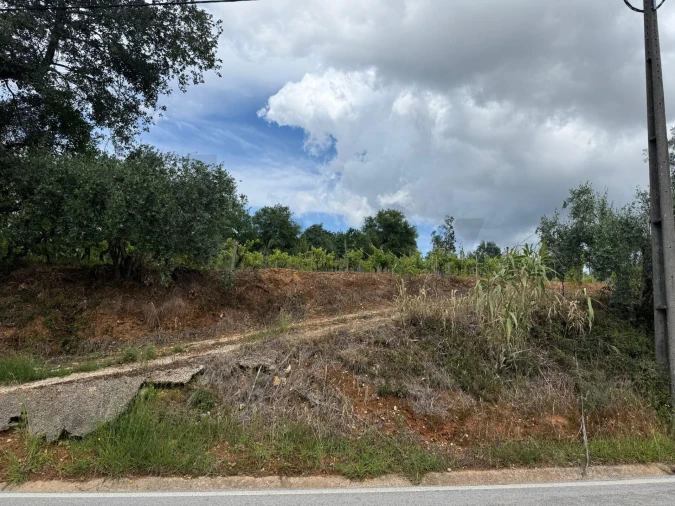 Terreno para Venda em Antuzede e Vil de Matos Foto 9