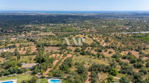 Moradia T9 para Venda em Boliqueime