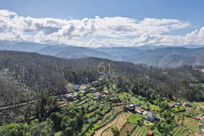 Terreno para Venda em Canelas e Espiunca