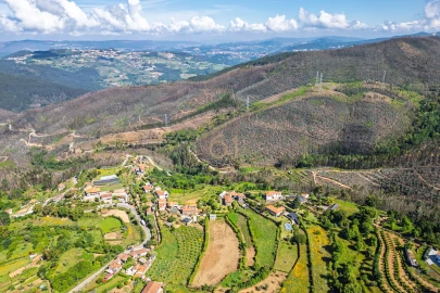 Terreno para Venda em Canelas e Espiunca