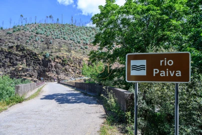 Terreno para Venda em Canelas e Espiunca